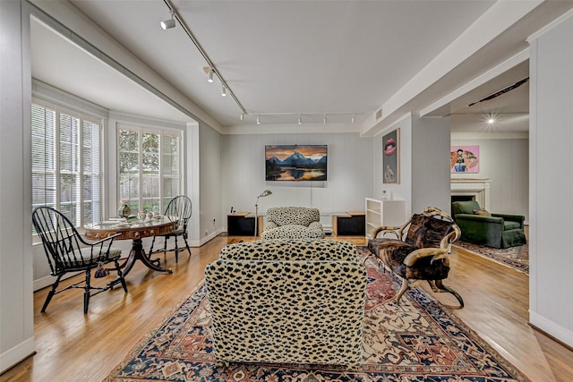 living room with rail lighting and light hardwood / wood-style floors