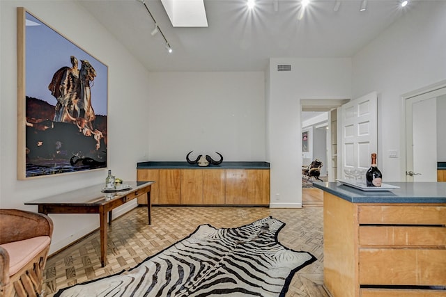 interior space with a skylight, light parquet flooring, and track lighting