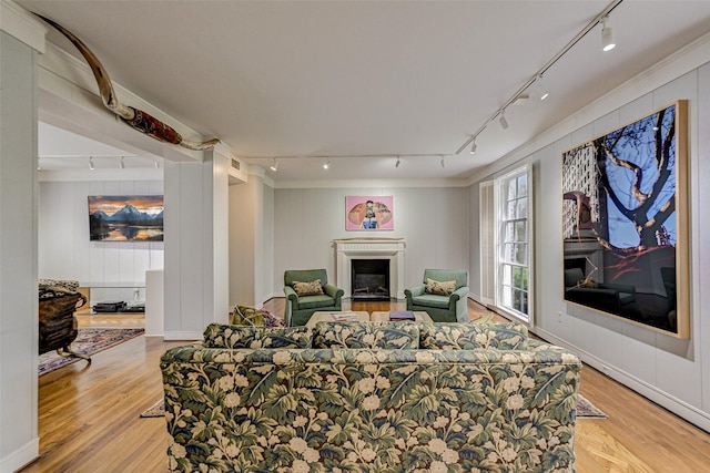 living room featuring ornamental molding, light hardwood / wood-style floors, and rail lighting