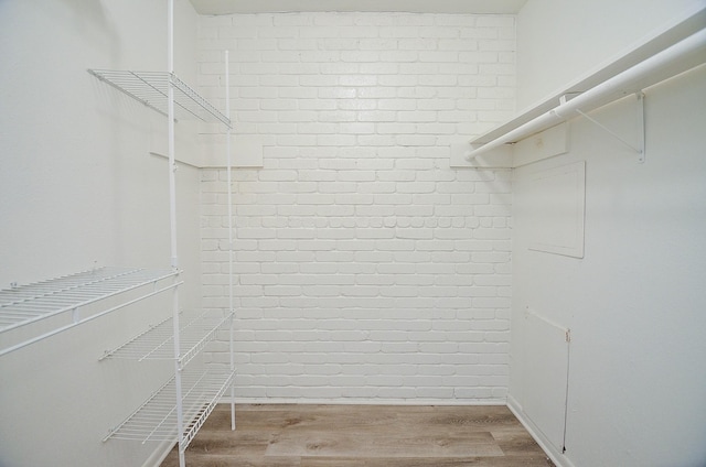 walk in closet with hardwood / wood-style floors