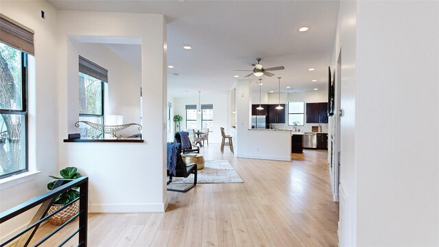 hall with sink, a wealth of natural light, and light hardwood / wood-style flooring