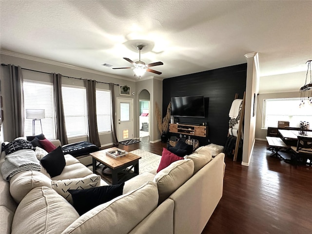 living room featuring dark wood-type flooring, ceiling fan, crown molding, and a textured ceiling