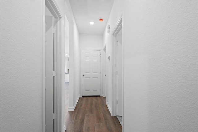 hall featuring dark wood-type flooring