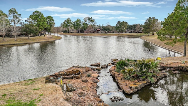 view of water feature