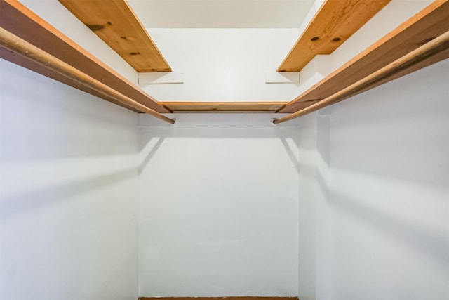 view of walk in closet