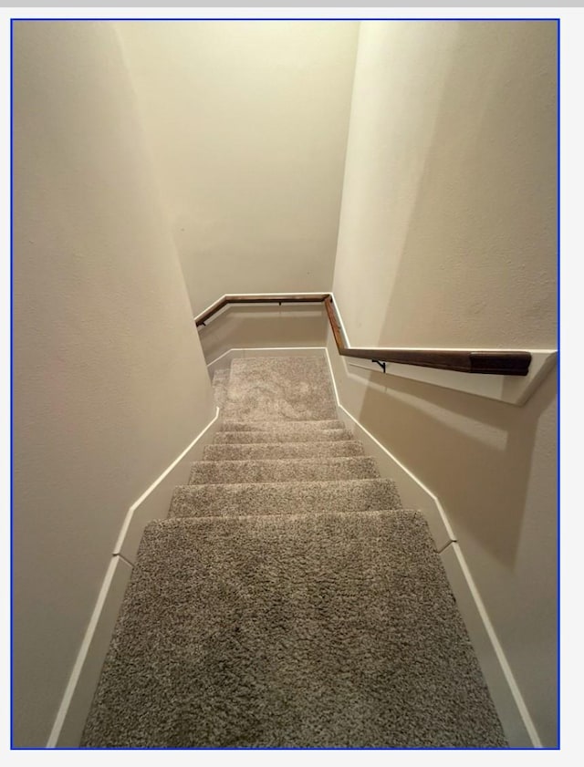 stairway featuring carpet floors