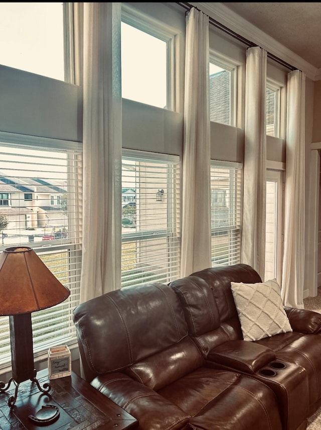 living area featuring plenty of natural light