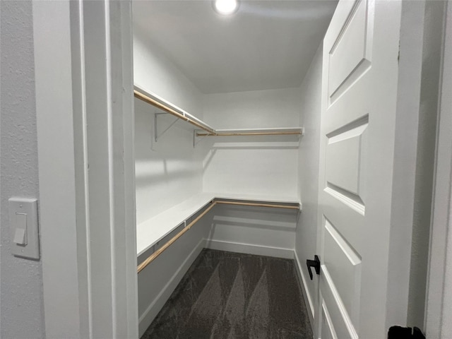 walk in closet with dark colored carpet