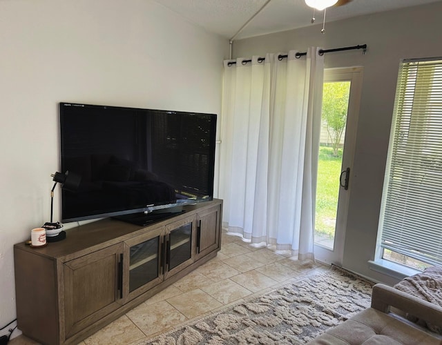 living room featuring a wealth of natural light