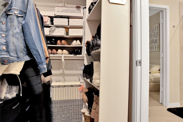 spacious closet with light colored carpet