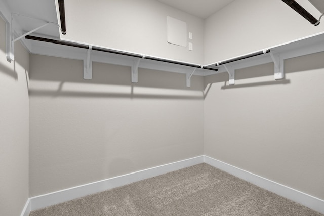 spacious closet with carpet