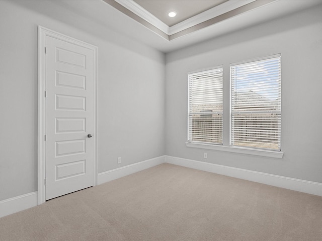 spare room featuring a raised ceiling, crown molding, and carpet floors