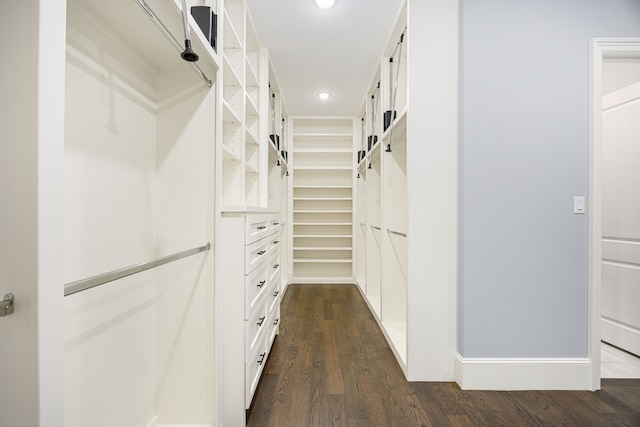 spacious closet with dark wood-type flooring