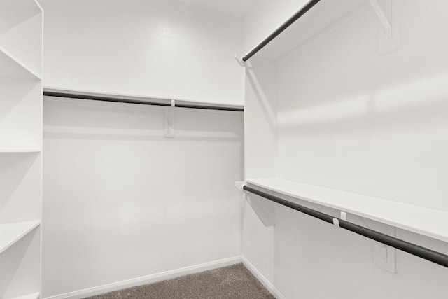 spacious closet with carpet flooring