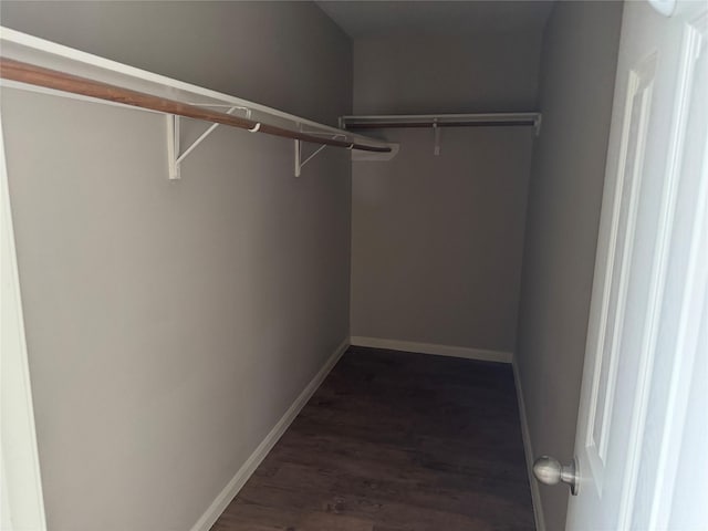 walk in closet with dark wood-type flooring