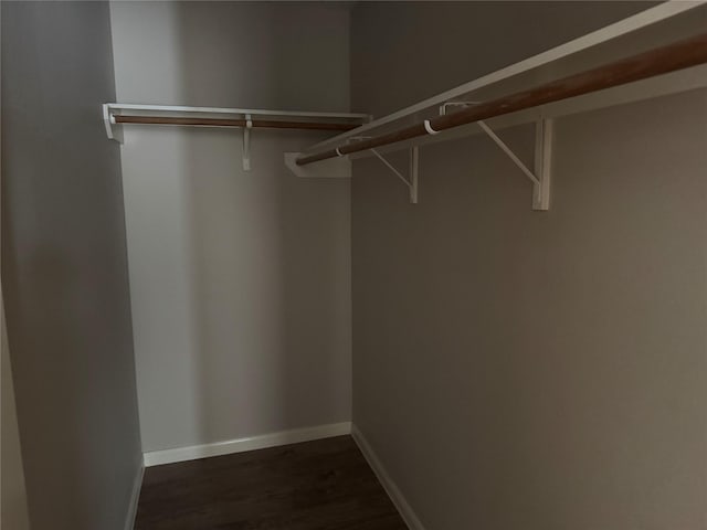 spacious closet featuring dark wood-type flooring