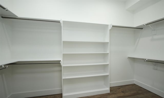 spacious closet featuring dark hardwood / wood-style floors