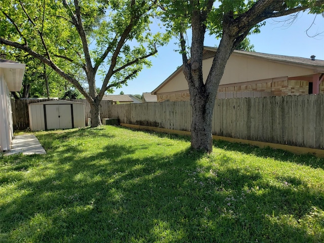 view of yard with a shed