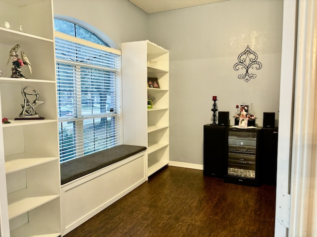 spacious closet with dark hardwood / wood-style floors