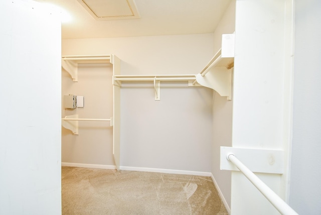 spacious closet with light colored carpet