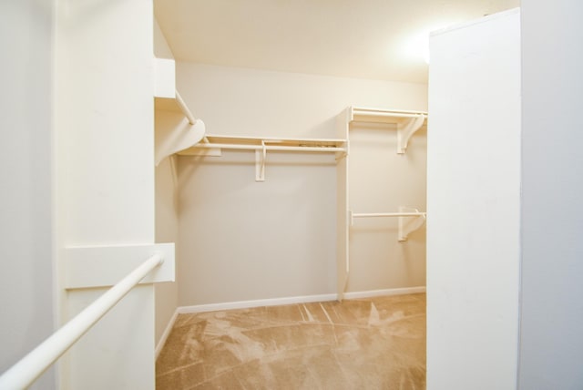 walk in closet with light colored carpet