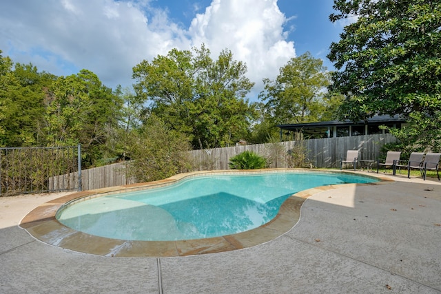 view of pool featuring a patio