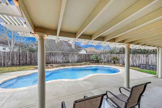 view of pool with a patio area