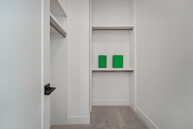 spacious closet with carpet