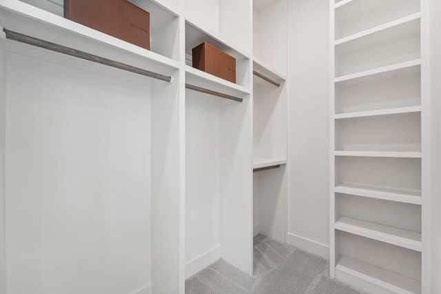 spacious closet with light carpet