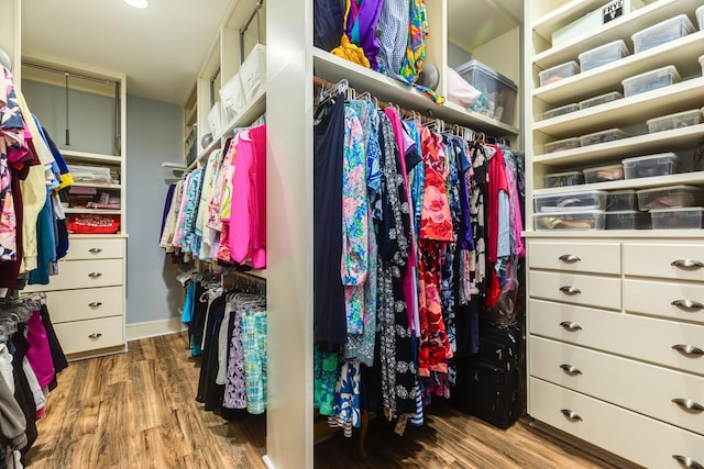 spacious closet with hardwood / wood-style flooring