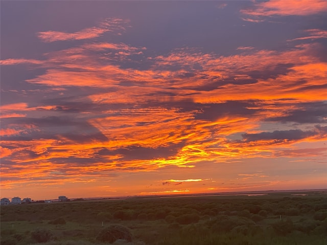 view of nature at dusk