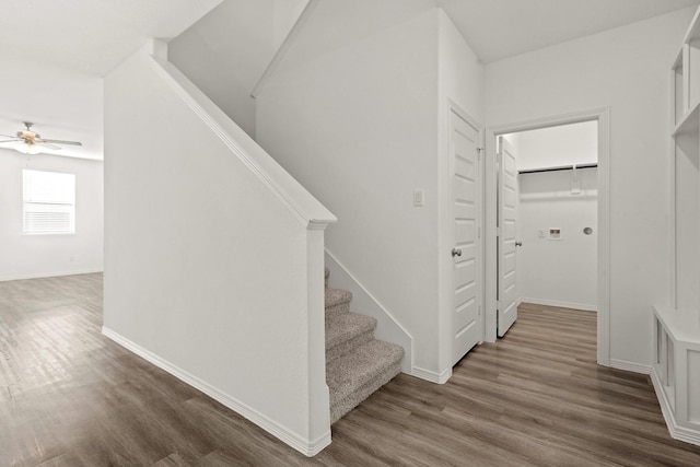 stairs with ceiling fan and hardwood / wood-style floors