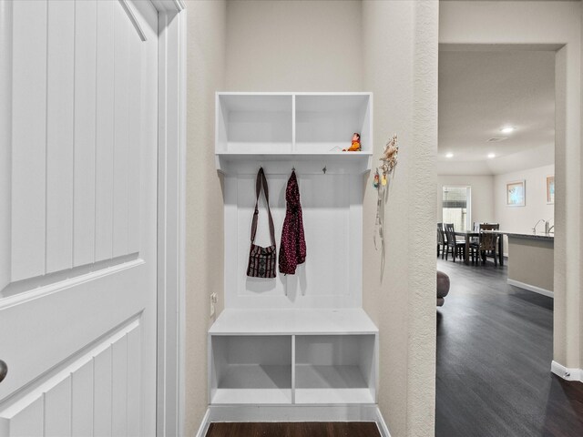 mudroom featuring dark hardwood / wood-style floors