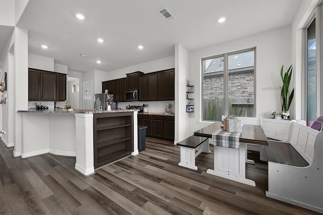 kitchen with stainless steel appliances, dark hardwood / wood-style floors, and plenty of natural light