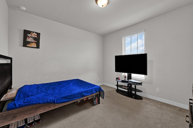 bedroom with carpet floors