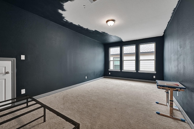 miscellaneous room featuring carpet flooring