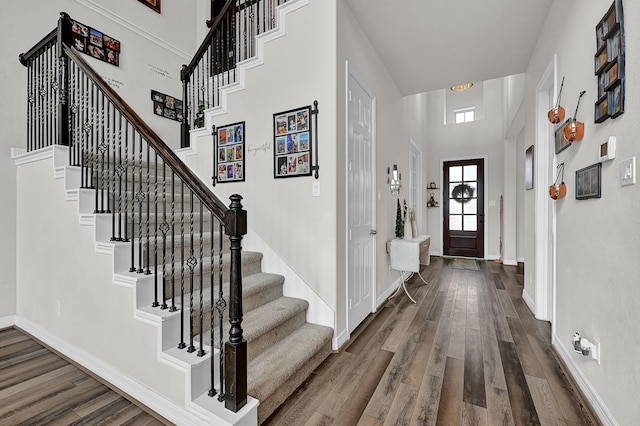 entryway with a towering ceiling and dark hardwood / wood-style flooring