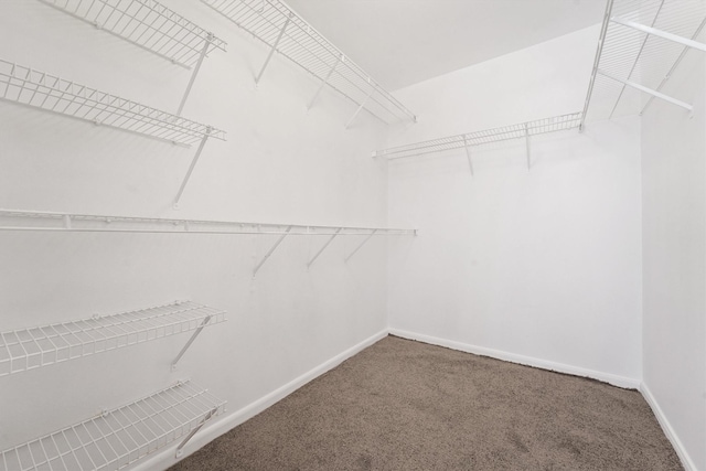 spacious closet with carpet flooring