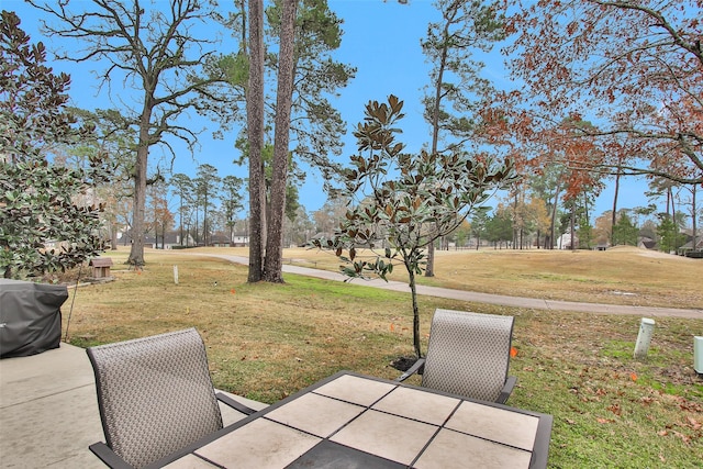 view of yard with a patio area