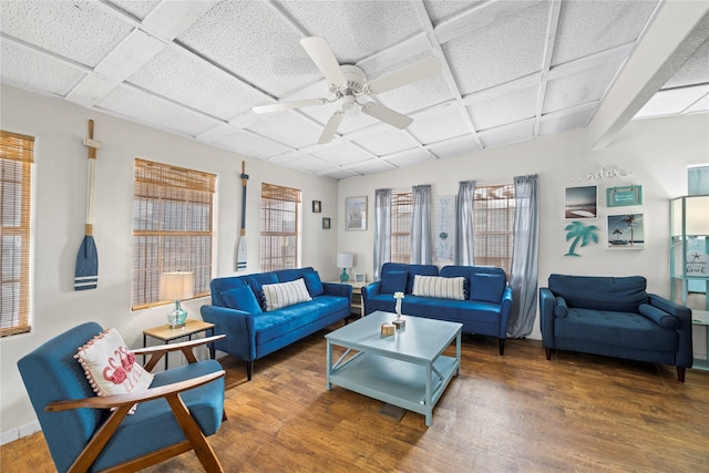 living room with dark hardwood / wood-style floors, a drop ceiling, and ceiling fan