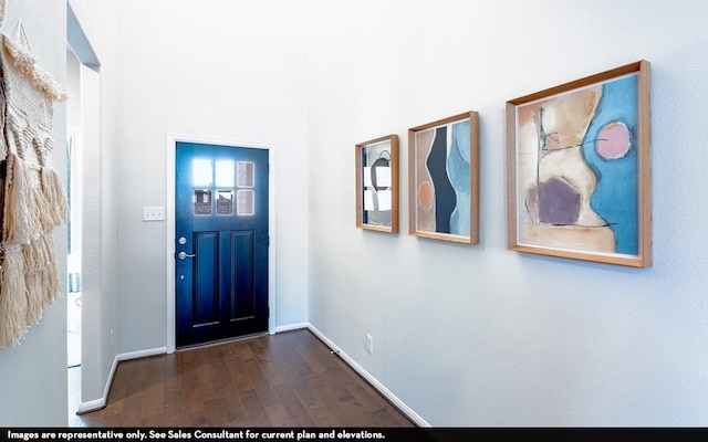 entryway featuring dark hardwood / wood-style flooring