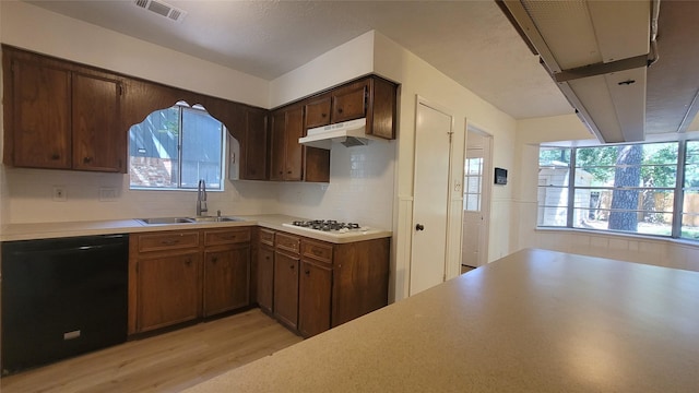 kitchen with sink, plenty of natural light, dishwasher, and light wood-type flooring