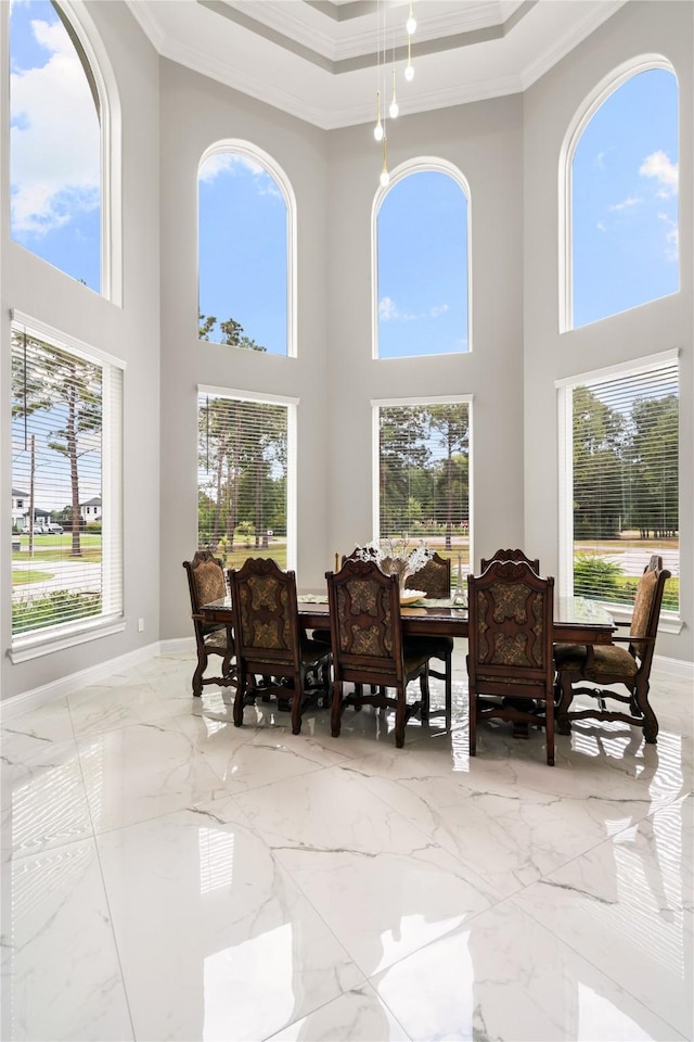 dining space with crown molding and a raised ceiling