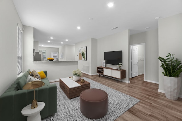 living room featuring hardwood / wood-style floors