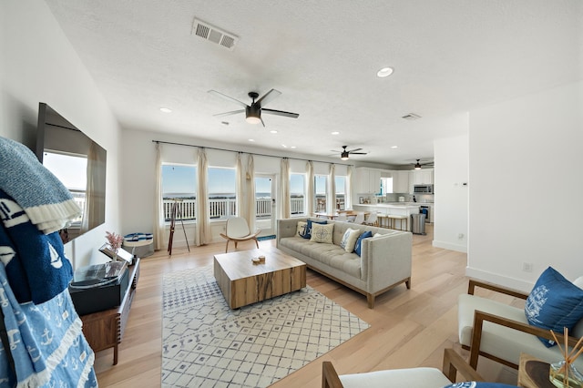 living room with a textured ceiling and light wood-type flooring