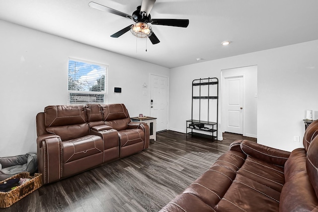 living room with ceiling fan and dark hardwood / wood-style flooring