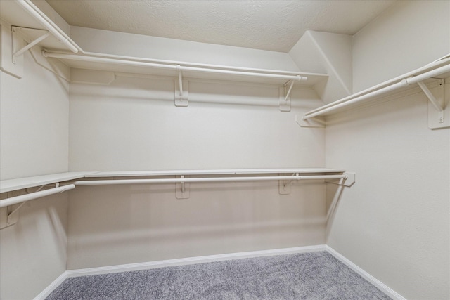 spacious closet with carpet