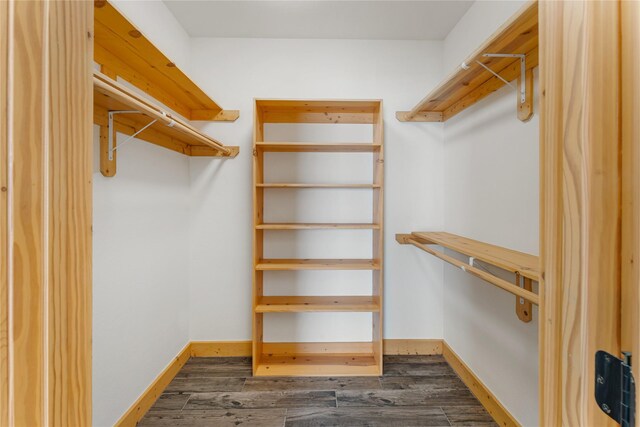 spacious closet with dark wood-type flooring