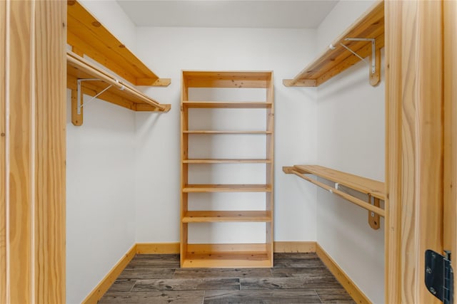 spacious closet featuring dark hardwood / wood-style flooring