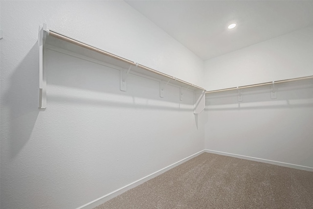 walk in closet with carpet flooring